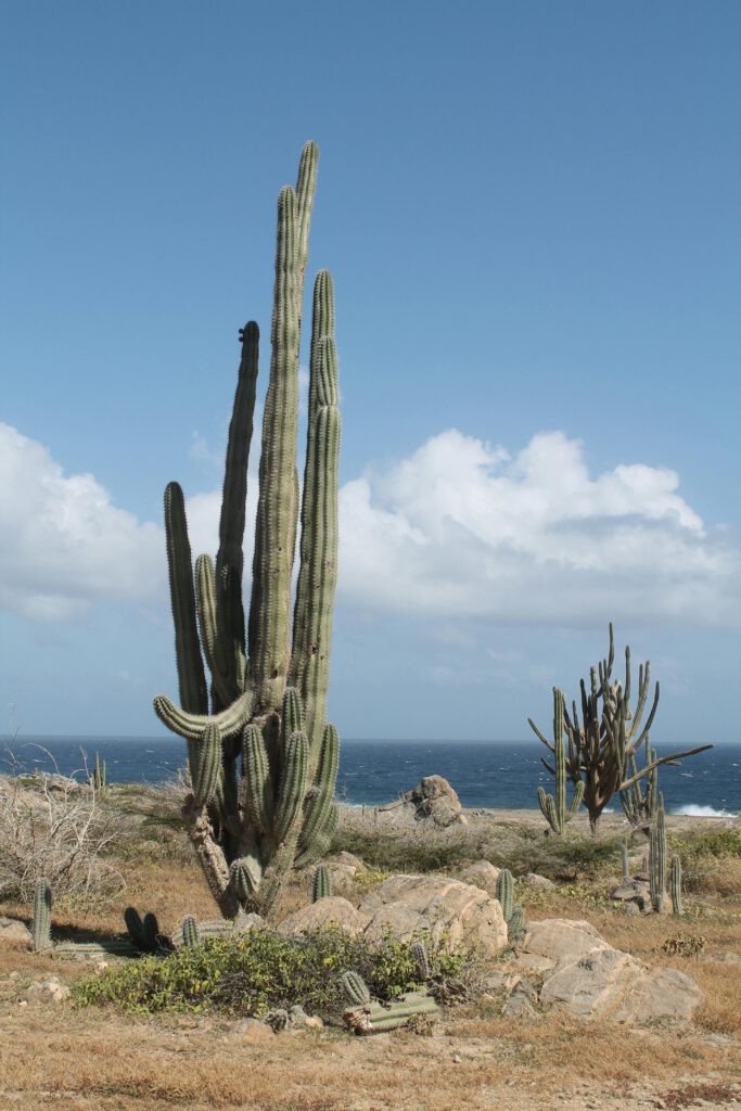 México Verde: Destinos de Naturaleza y Vida Salvaje mexico